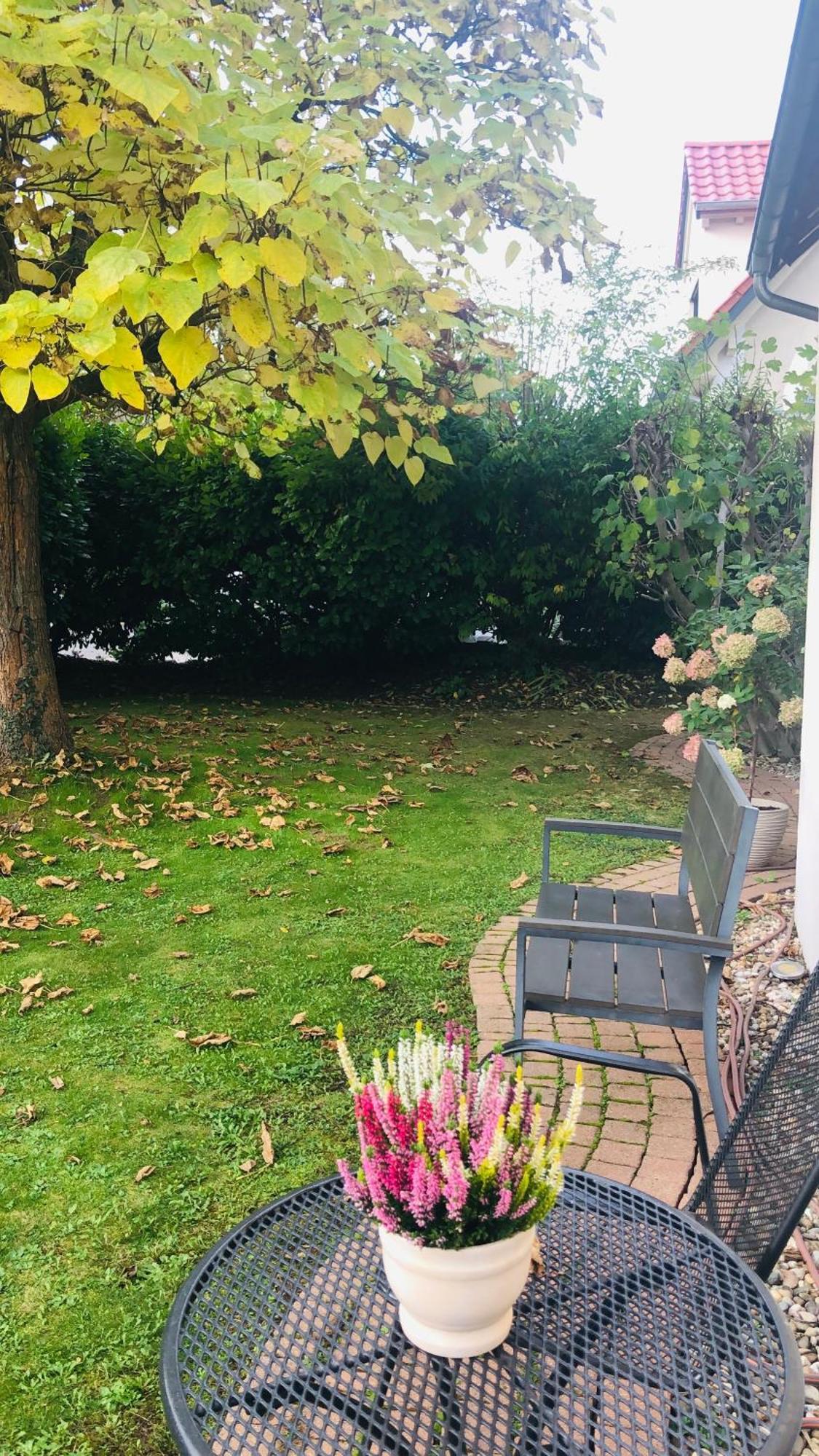 Ferienwohnung Suedpfalz Mit Fernblick Bochingen Ngoại thất bức ảnh